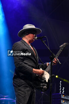 2024-07-01 - Pete Doherty of The Libertines performs during Tour 2024 at Villa Ada Estate 2024, on July 1, 2024 in Rome, Italy. - THE LIBERTINES TOUR 2024 - CONCERTS - MUSIC BAND