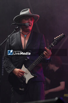 01/07/2024 - Pete Doherty of The Libertines performs during Tour 2024 at Villa Ada Estate 2024, on July 1, 2024 in Rome, Italy. - THE LIBERTINES TOUR 2024 - CONCERTI - BAND STRANIERE