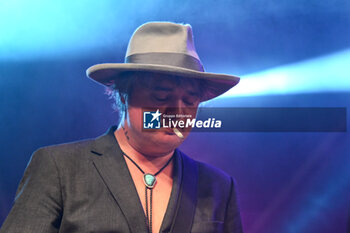 2024-07-01 - Pete Doherty of The Libertines performs during Tour 2024 at Villa Ada Estate 2024, on July 1, 2024 in Rome, Italy. - THE LIBERTINES TOUR 2024 - CONCERTS - MUSIC BAND