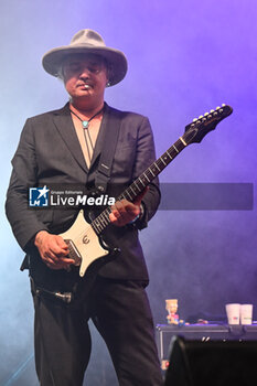 2024-07-01 - Pete Doherty of The Libertines performs during Tour 2024 at Villa Ada Estate 2024, on July 1, 2024 in Rome, Italy. - THE LIBERTINES TOUR 2024 - CONCERTS - MUSIC BAND