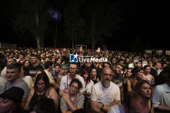 2024-07-01 - The Libertines live in Rome, Villa Ada Festival - THE LIBERTINES LIVE IN ROMA - CONCERTS - MUSIC BAND