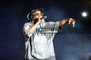 16/07/2024 - Will.i.am (William James Adams) of Black Eyed Peas - BLACK EYED PEAS - CONCERTI - BAND STRANIERE