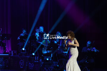 11/11/2024 - Italian singer Fiorella Mannoia on stage at Teatro Europauditorium during her tour in theaters. Bologna, November 11, 2024 - photo Michele Nucci - FIORELLA MANNOIA LIVE NEI TEATRI 2024 - SHOW - ARTISTI ITALIANI