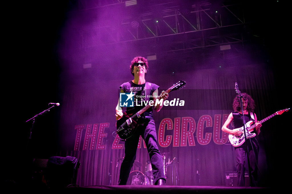 The Zen Circus - Il Male Summer Tour - CONCERTS - MUSIC BANDS
