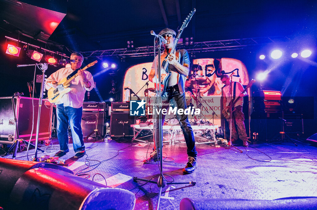  Babyshambles - Tour Italy 2026 - CONCERTS - MUSIC BANDS