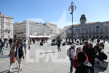 2021-10-23 - La piazza di Trieste oggi nello il comune di Trieste - MANIFESTAZIONI NO GREEN PASS A TRIESTE - NEWS - CHRONICLE