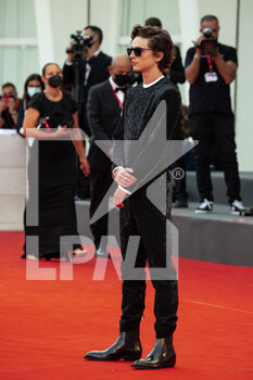2021-09-03 - Timothée Chalamet attend the red carpet of the movie 