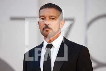2021-09-04 - Antonio Banderas attends the red carpet of the movie 