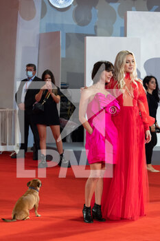 2021-09-05 - Director Ana Lily Amirpour, Kate Hudson and the dog Benny, attend the red carpet of the movie 