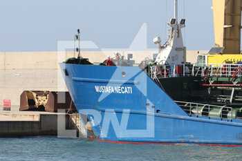 Ucranian ship with sunflower oil arrives in Italy - NEWS - CHRONICLE