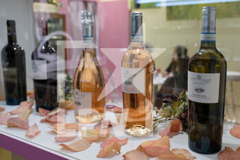 2022-04-10 - Custoza wines bottles exposed in 2022 edition of Vinitaly fair in Verona - 54TH EDITION OF VINITALY - INTERNATIONAL FAIR OF WINES IN VERONA - NEWS - EVENTS