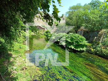 2022-07-03 - Ninfa's Garden in Italy - A Perfect Mix Between Flora, fauna, water and ancient ruins - NINFA'S GARDEN IN ITALY - A PERFECT MIX BETWEEN FLORA, FAUNA, WATER AND ANCIENT RUINS - REPORTAGE - PLACES