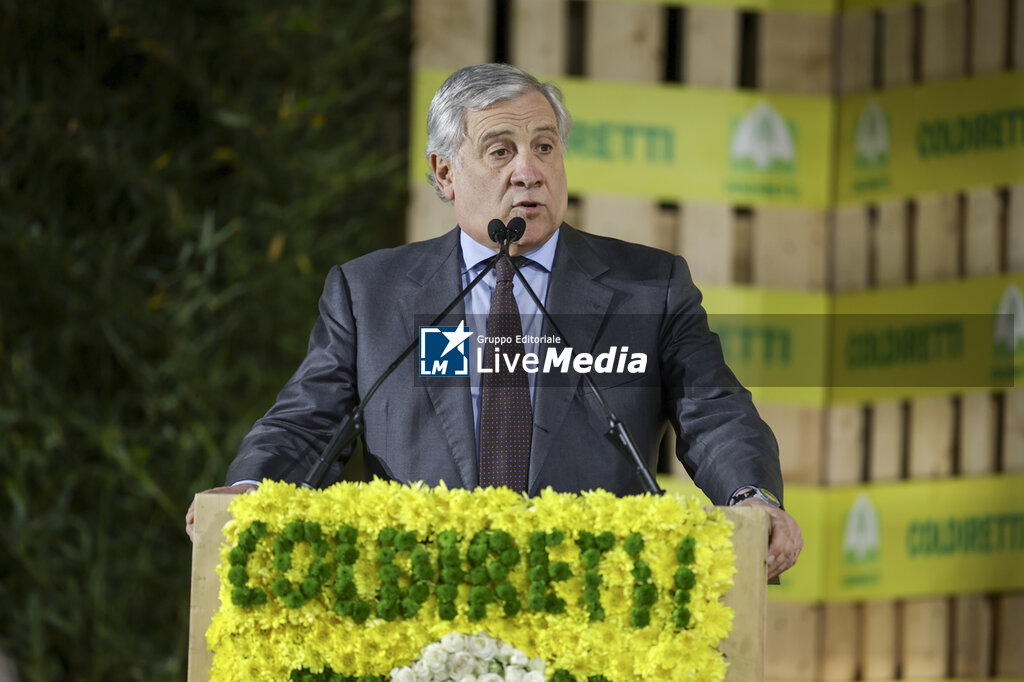 Coldiretti village in Naples with Antonio Tajani - NEWS - CHRONICLE