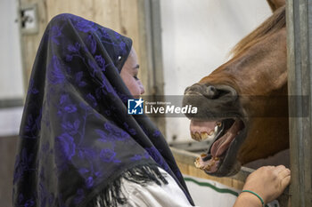 2023-11-10 - 2023 Fieracavalli Verona , the Centuries-Old Horse Fair - FIERA CAVALLI - HORSE FAIR - REPORTAGE - EVENTS