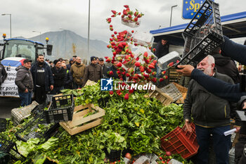 Tractor protest, fruit and vegetables thrown out  - NEWS - CHRONICLE