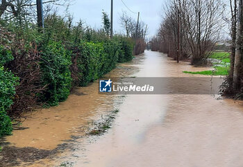 2024-02-27 - Flooding in Abano Terme (Padua) - BAD WEATHER IN PADUA - NEWS - CHRONICLE