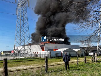 UNIKA SERVICE BODYWORK tire depot fire - NEWS - CHRONICLE