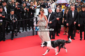 2024-05-14 - Laura Martin Contini and Messi the Dog attend 