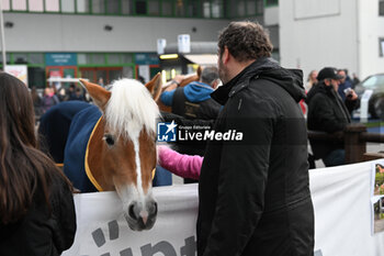 2024-11-08 - 126 Horse Fair – Verona Italy 2024 - 126A FIERA CAVALLI 2024 - NEWS - EVENTS