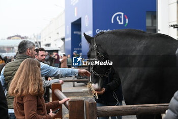 2024-11-08 - 126 Horse Fair – Verona Italy 2024 - 126A FIERA CAVALLI 2024 - NEWS - EVENTS