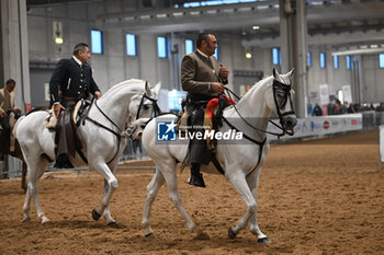 2024-11-08 - 126 Horse Fair – Verona Italy 2024 - 126A FIERA CAVALLI 2024 - NEWS - EVENTS