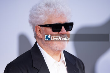 2024-09-07 - Pedro Almodovar attends the Closing Ceremony red carpet during the 81st Venice International Film Festival at Palazzo del Cinema on September 07, 2024 in Venice, Italy. ©Photo: Cinzia Camela. - 2024 CLOSING CEREMONY RED CARPET - THE 81ST VENICE INTERNATIONAL FILM FESTIVAL - NEWS - VIP