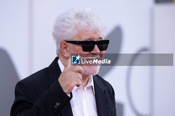 2024-09-07 - Pedro Almodovar attends the Closing Ceremony red carpet during the 81st Venice International Film Festival at Palazzo del Cinema on September 07, 2024 in Venice, Italy. ©Photo: Cinzia Camela. - 2024 CLOSING CEREMONY RED CARPET - THE 81ST VENICE INTERNATIONAL FILM FESTIVAL - NEWS - VIP