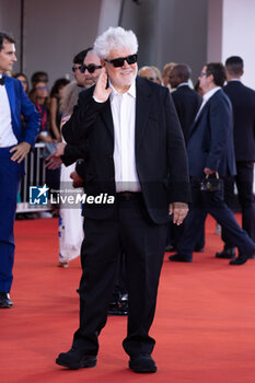 2024-09-07 - Pedro Almodovar attends the Closing Ceremony red carpet during the 81st Venice International Film Festival at Palazzo del Cinema on September 07, 2024 in Venice, Italy. ©Photo: Cinzia Camela. - 2024 CLOSING CEREMONY RED CARPET - THE 81ST VENICE INTERNATIONAL FILM FESTIVAL - NEWS - VIP