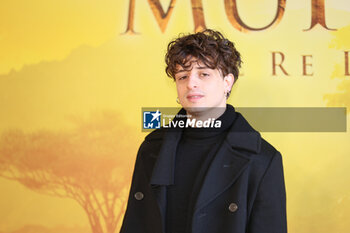 2024-11-15 - Riccardo Suarez, voice of Zazu, during the Photocall of the movie MUFASA - Il Re Leone on November 15, 2024 at Cinema The Space, Rome, Italy - MUFASA - IL RE LEONE - NEWS - VIP