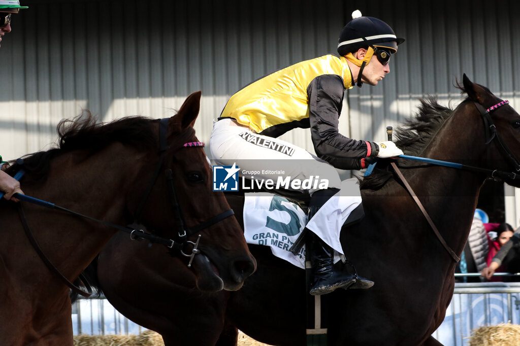 Fiera Cavalli 2025 - REPORTAGE - EVENTS