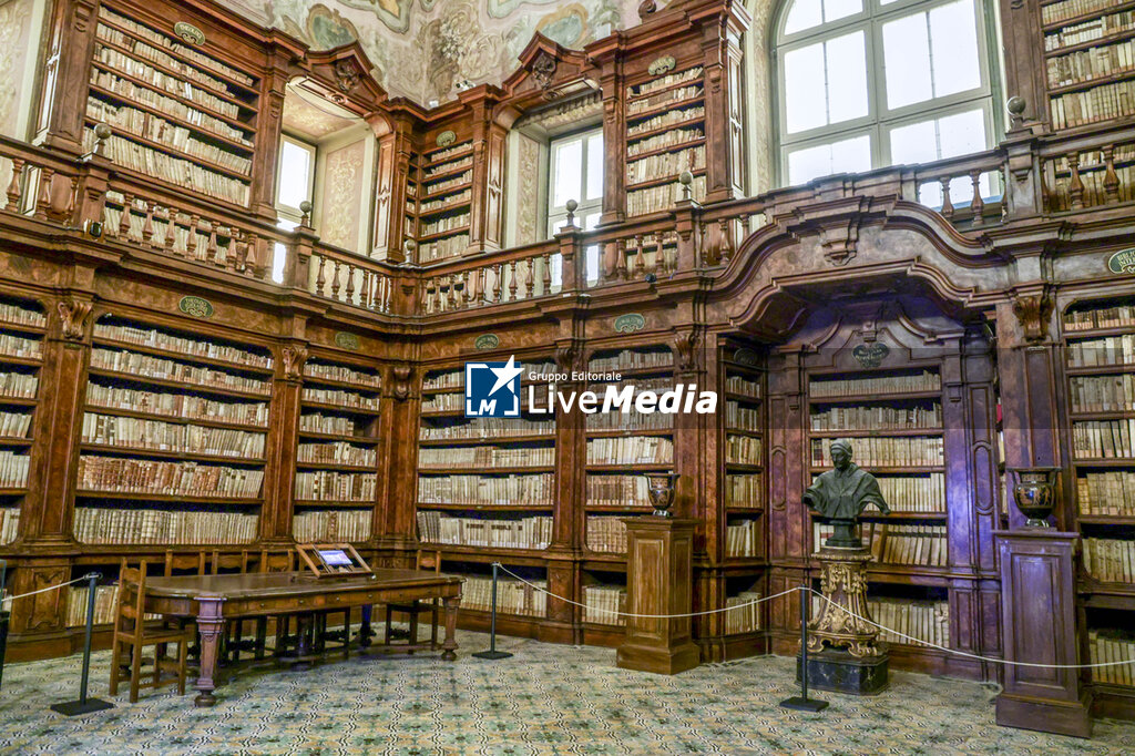 Naples Reopens Historic Girolamini Library After 14 Year - NEWS - ART