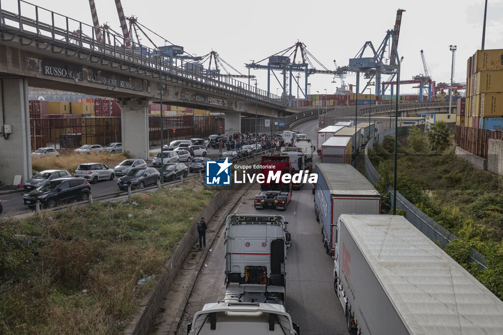 Truck Drivers Protest Fuel Prices in Naples - NEWS - CHRONICLE