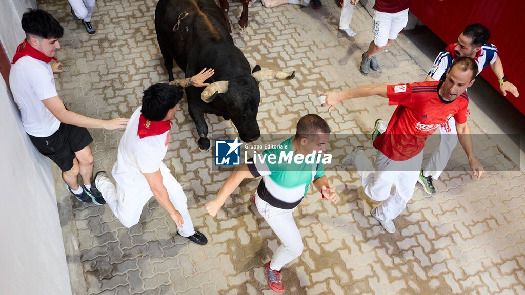 Sixth running of the bulls of San Fermin 2026 with bulls from the La Palmosilla - REPORTAGE - SOCIETY