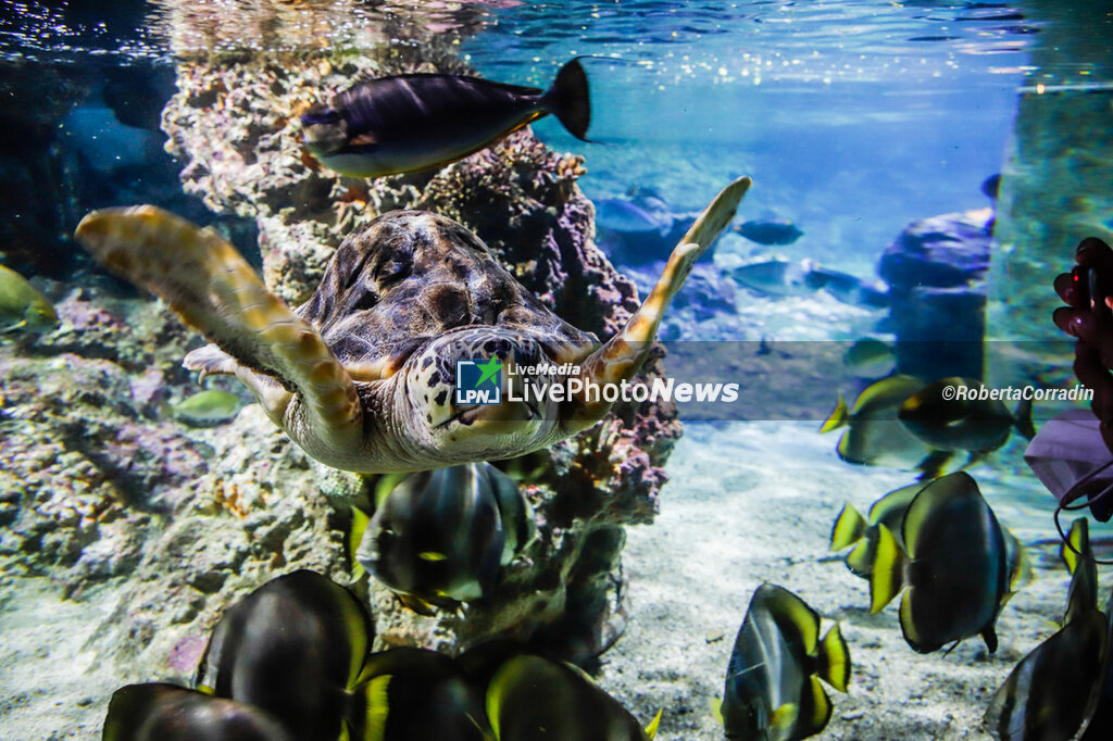 Acquario di Genova - REPORTAGE - PLACES