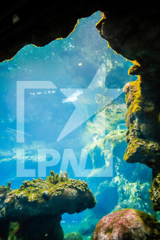 2020-08-28 - Genova's aquarium - ACQUARIO DI GENOVA - REPORTAGE - PLACES