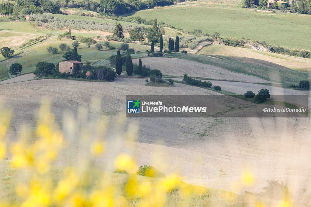 Spring in Tuscany - REPORTAGE - PLACES