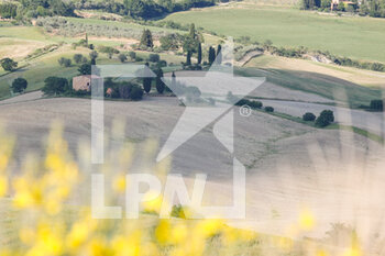 Spring in Tuscany - SERVIZI - LUOGHI
