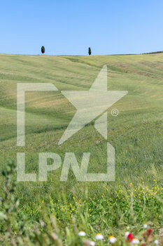 2021-06-02 - hills and cypresses in Tuscany, blooming in spring - SPRING IN TUSCANY - REPORTAGE - PLACES