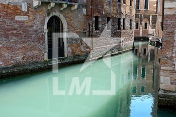 2020-04-05 - Il colore chiaro dell'acqua dei canali di Venezia - EMERGENZA CORONAVIRUS E COVID-19 - NEWS - HEALTH