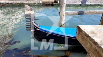 2020-04-05 - L'acqua trasparente per l'assenza del Moto Ondoso di fronte al canale di ingresso al Ponte dei Sospiri - EMERGENZA CORONAVIRUS E COVID-19 - NEWS - HEALTH
