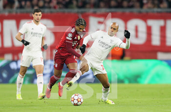 2021-11-02 - Serge Gnabry of Bayern Munich and Joao Mario of Benfica during the UEFA Champions League, Group E football match between Bayern Munich and SL Benfica on November 2, 2021 at Allianz Arena in Munich, Germany - BAYERN MUNICH VS SL BENFICA - UEFA CHAMPIONS LEAGUE - SOCCER