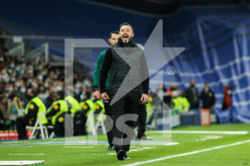 2021-11-03 - Roberto de Zerbi, head coach of Shakhtar during the UEFA Champions League, Group D football match between Real Madrid and Shakhtar Donetsk on November 03, 2021 at Santiago Bernabeu stadium in Madrid, Spain - REAL MADRID VS SHAKHTAR DONETSK - UEFA CHAMPIONS LEAGUE - SOCCER