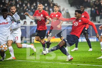 2021-11-23 - Jonathan DAVID of Lille scores his goal during the UEFA Champions League, Group G football match between Lille LOSC and FC Salzburg on November 23, 2021 at Pierre Mauroy stadium in Villeneuve-d'Ascq near Lille, France - LILLE LOSC VS FC SALZBURG - UEFA CHAMPIONS LEAGUE - SOCCER