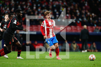 2021-11-24 - Antoine Griezmann of Atletico de Madrid during the UEFA Champions League, Group B football match between Atletico de Madrid and AC Milan on November 24, 2021 at Wanda Metropolitano stadium in Madrid, Spain - ATLETICO DE MADRID VS AC MILAN - UEFA CHAMPIONS LEAGUE - SOCCER