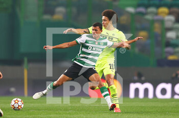2021-11-24 - Zouhair Feddal of Sporting Lisbon and Axel Witsel of Borussia Dortmund during the UEFA Champions League, Group C football match between Sporting Lisbon and Borussia Dortmund on November 24, 2021 at Jose Alvalade stadium in Lisbon, Portugal - SPORTING LISBON VS BORUSSIA DORTMUND - UEFA CHAMPIONS LEAGUE - SOCCER