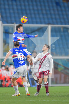 2021-12-16 - Radu Dragusin 
(Sampdoria) Alex Ferrari (Sampdoria) Josip Brekalo (Torino) - UC SAMPDORIA VS TORINO FC - ITALIAN CUP - SOCCER