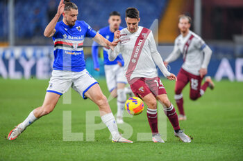 2021-12-16 - Radu Dragusin 
 (Sampdoria) Josip Brekalo (Torino) - UC SAMPDORIA VS TORINO FC - ITALIAN CUP - SOCCER