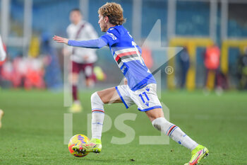 2021-12-16 - Riccardo Ciervo  (Sampdoria) - UC SAMPDORIA VS TORINO FC - ITALIAN CUP - SOCCER