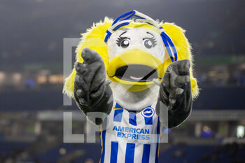 2021-12-15 - Brighton Mascot Sally Seagull ahead of the English championship Premier League football match between Brighton and Hove Albion and Wolverhampton Wanderers on December 15, 2021 at the American Express Community Stadium in Brighton and Hove, England - BRIGHTON AND HOVE ALBION VS WOLVERHAMPTON WANDERERS - ENGLISH PREMIER LEAGUE - SOCCER