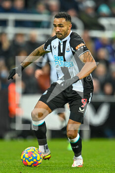 2021-12-19 - Callum Wilson of Newcastle during the English championship Premier League football match between Newcastle United and Manchester City on December 19, 2021 at St James's Park in Newcastle, England - NEWCASTLE UNITED VS MANCHESTER CITY - ENGLISH PREMIER LEAGUE - SOCCER